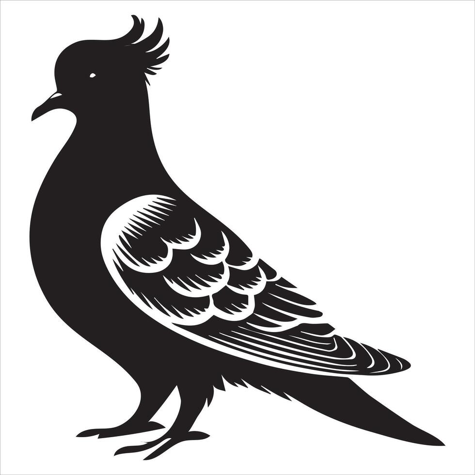 Mourning Dove Silhouette - Zenaida macroura Clipart - Mourning Dove crest feathers visible Illustration in black and white vector