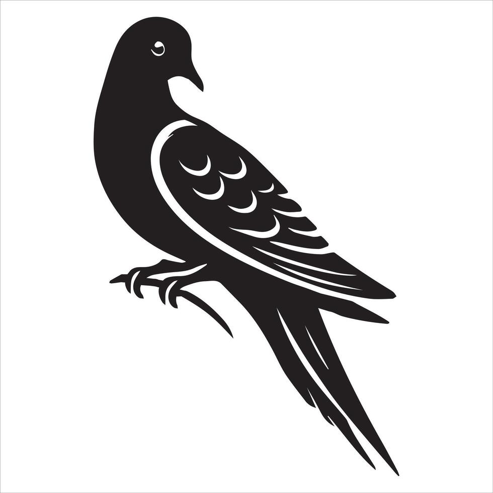 Mourning Dove Silhouette - Zenaida macroura Clipart - Mourning Dove perched on delicate posture Illustration in black and white vector