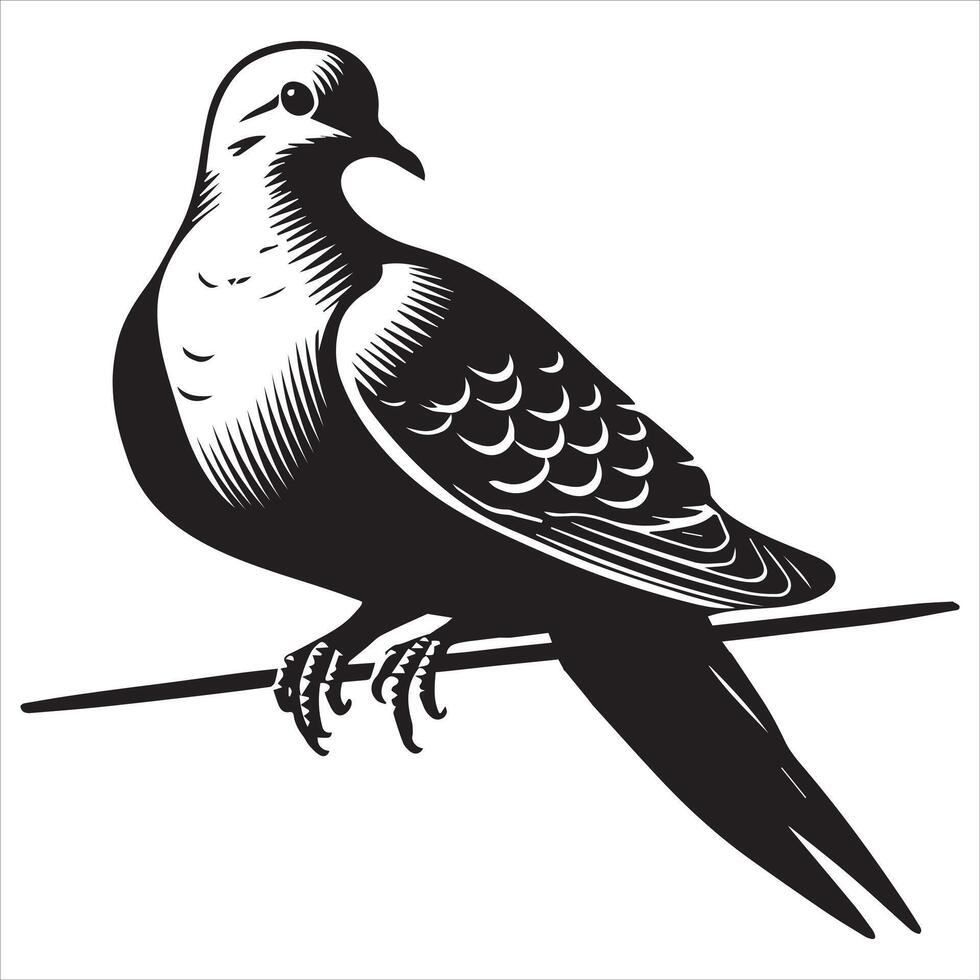 Mourning Dove Silhouette - Zenaida macroura Clipart - Mourning Dove perched on a wire Illustration in black and white vector