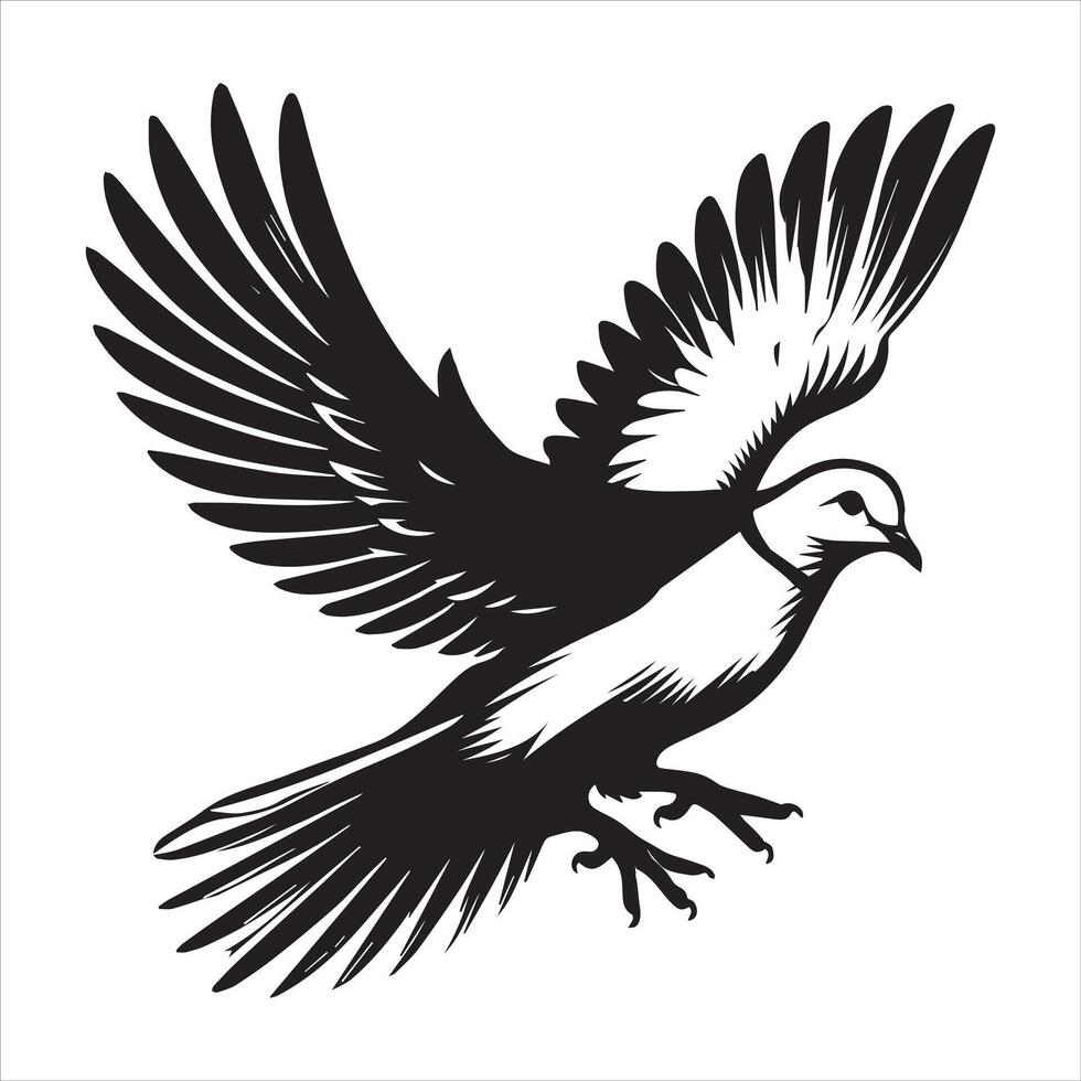 Streptopelia Decaocto Clipart - Eurasian collared Dove Silhouette - Eurasian collared dove in mid-flight Illustration in black and white vector