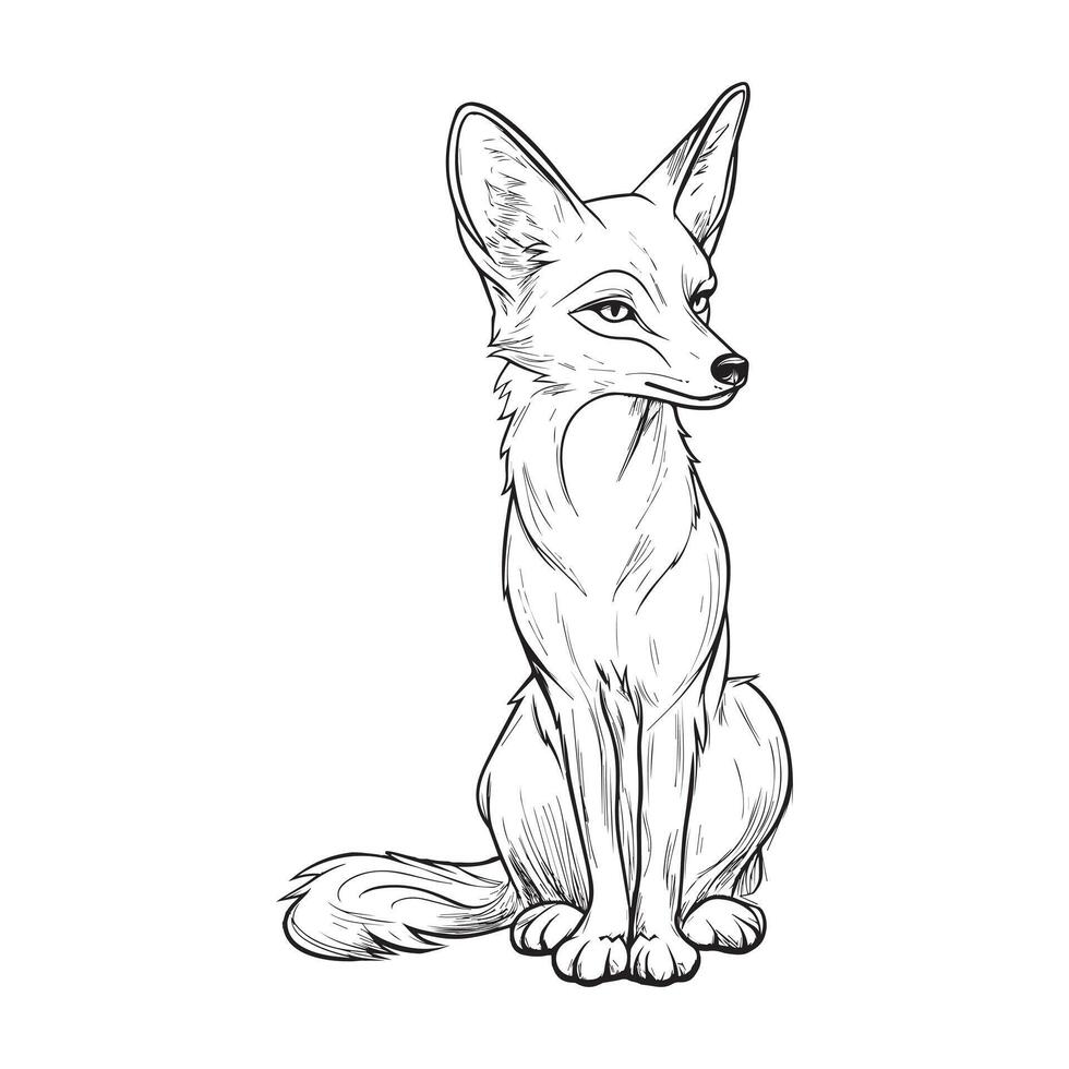 Jackal Outline Design, Jackal Clipart, A Jackal sitting illustration in black and white vector