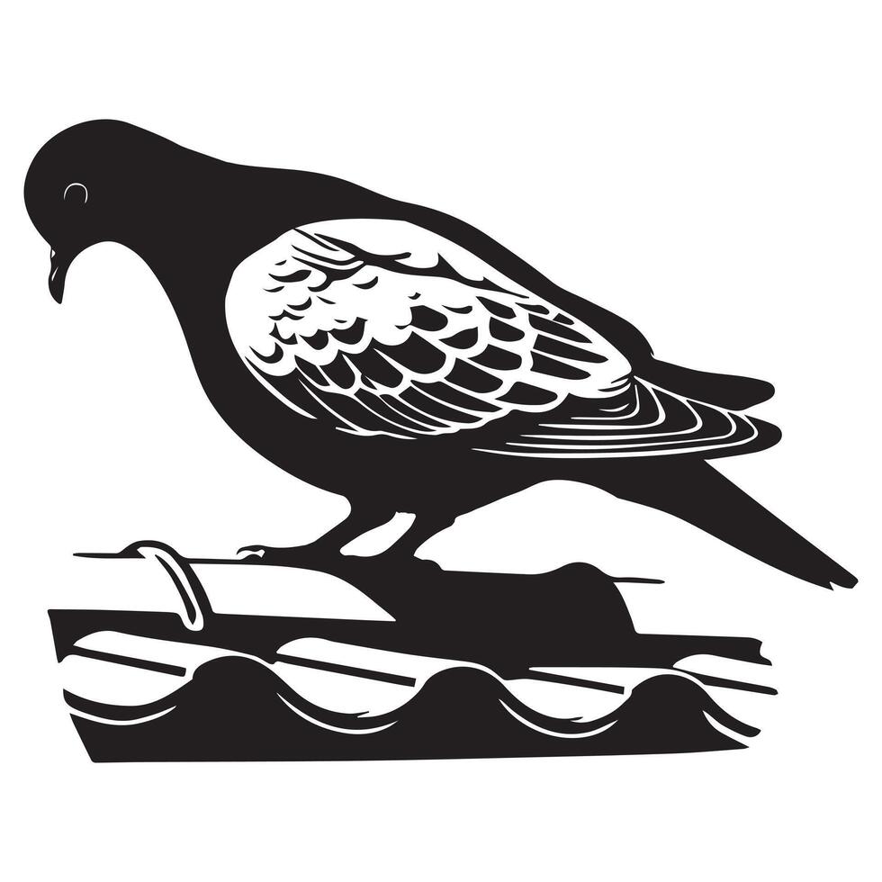 Streptopelia Decaocto Clipart - Eurasian collared Dove Silhouette - Eurasian collared dove Perched on a Roof Illustration in black and white vector