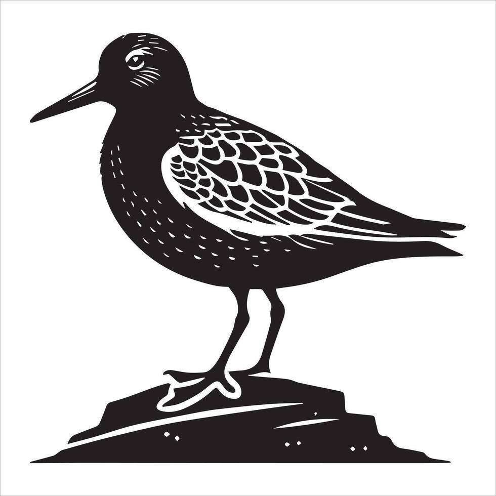 Dunlin Silhouette - Dunling Bird Clipart, Calidris alpina Design, Dunlin Perched on a Rock Illustration in black and white vector
