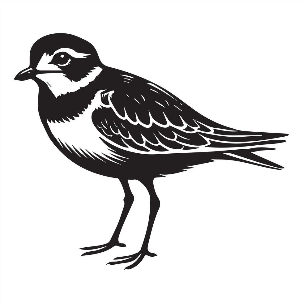 Piping Plover Silhouette - Plover Birt Clipart, Piping Plover Facing Right Illustration in black and white vector