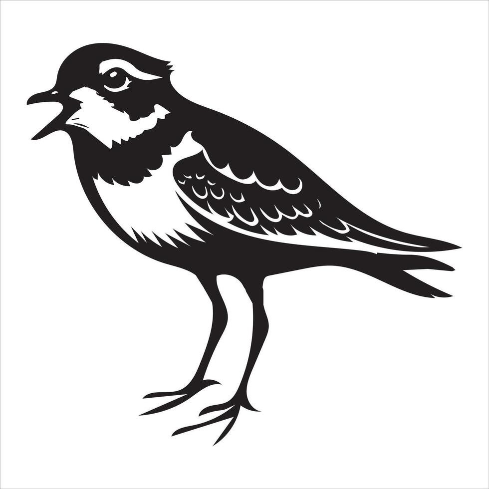 Piping Plover Silhouette - Plover Birt Clipart, Piping Plover standing open beak Illustration in black and white vector