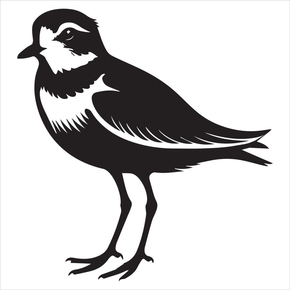 Piping Plover Silhouette - Plover Birt Clipart, Piping Plover one leg raised Illustration in black and white vector
