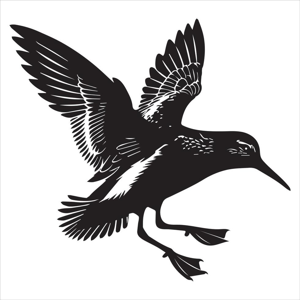 Dunlin Silhouette - Dunling Bird Clipart, Calidris alpina Design, Dunlin Landing Illustration in black and white vector