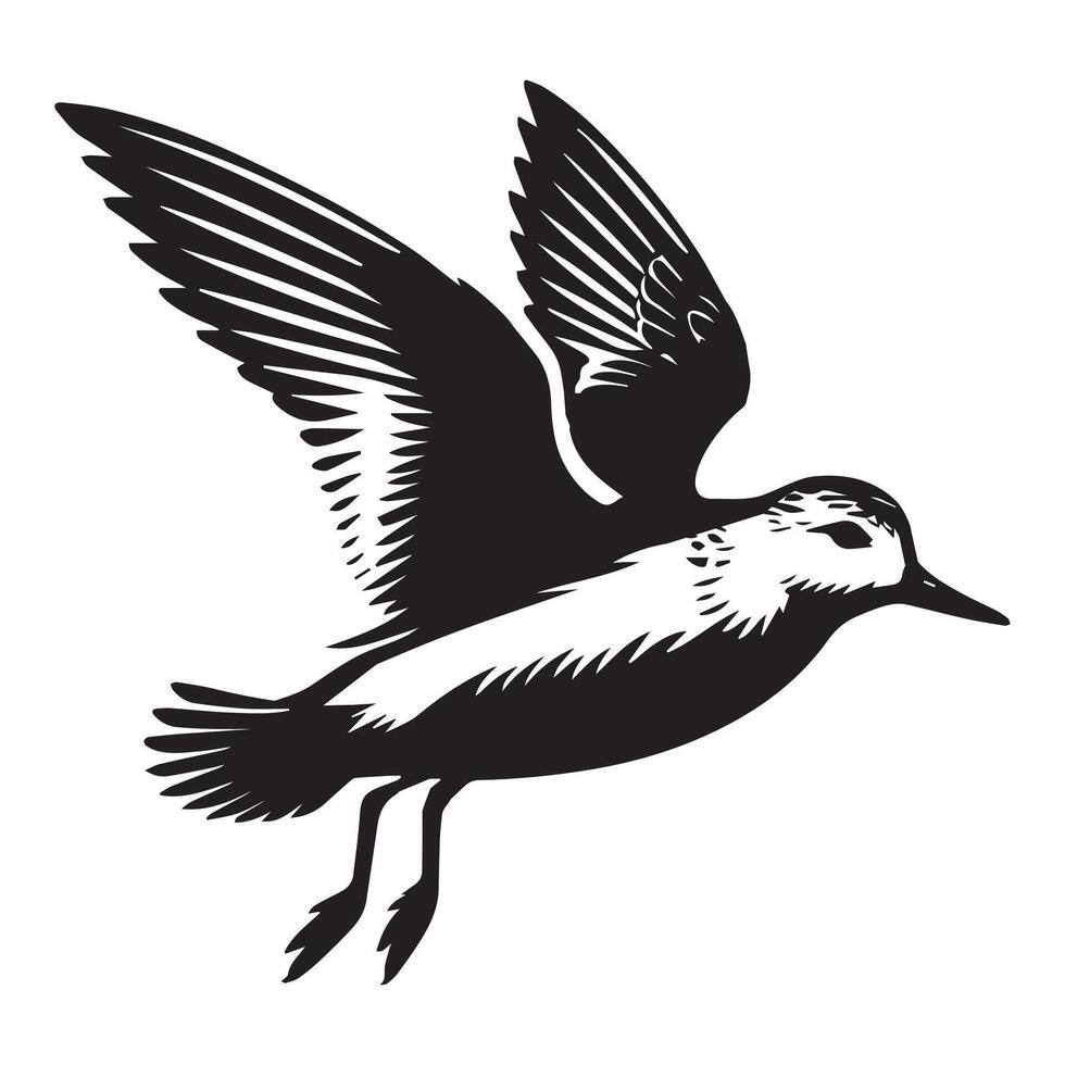 Sanderling Silhouette - Sanderling Bird Clipart, Calidris alba Design, Sanderling in mid-flight Illustration in black and white vector