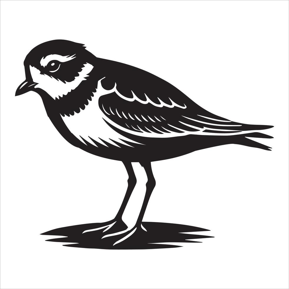 Piping Plover Silhouette - Plover Birt Clipart, Piping Plover head looking downward Illustration in black and white vector