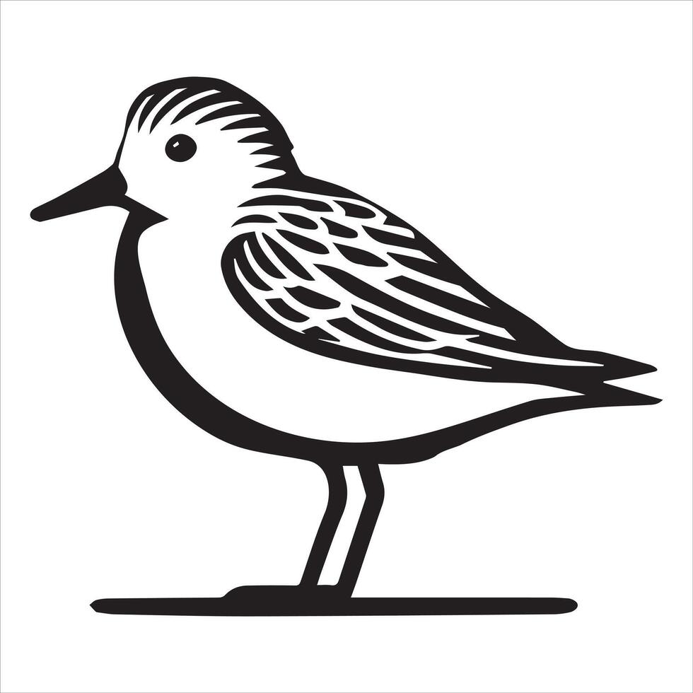 Sanderling Silhouette - Sanderling Bird Clipart, Calidris alba Design, Sanderling standing still Illustration in black and white vector