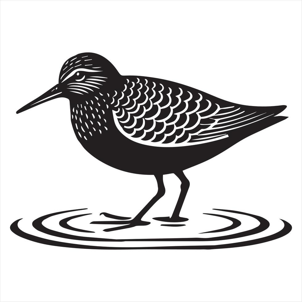 Common Sandpiper Silhouette - Sandpiper Birt Clipart, Sandpiper standing shallow water Illustration in black and white vector