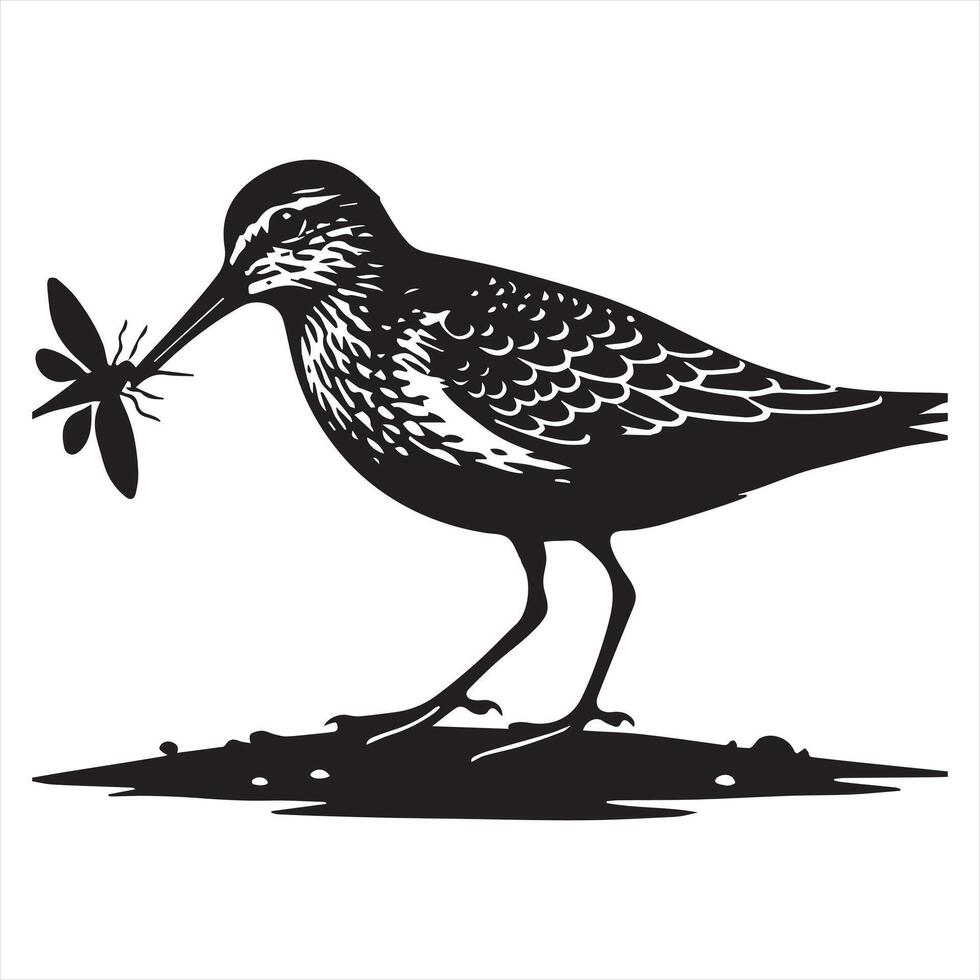Common Sandpiper Silhouette - Sandpiper Birt Clipart, Common Sandpiper feeding small insect Illustration in black and white vector