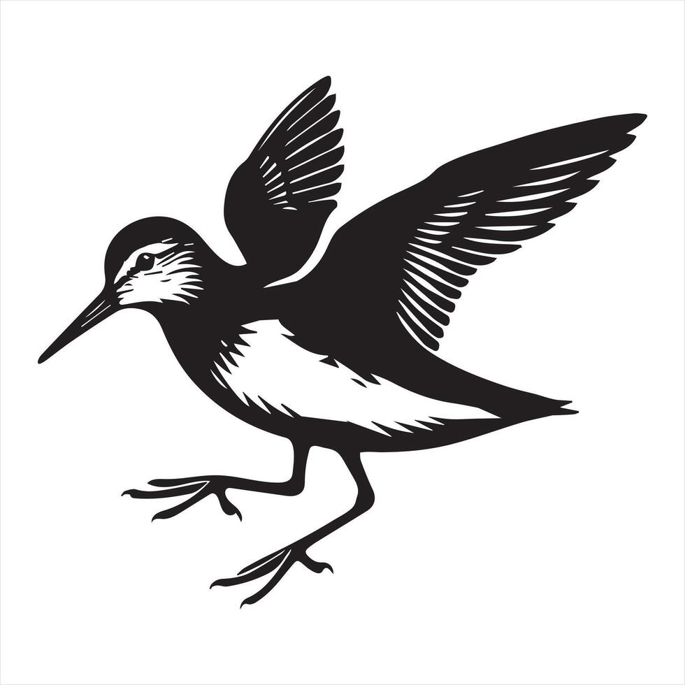 Common Sandpiper Silhouette - Sandpiper Birt Clipart, Common Sandpiper wings slightly Illustration in black and white vector