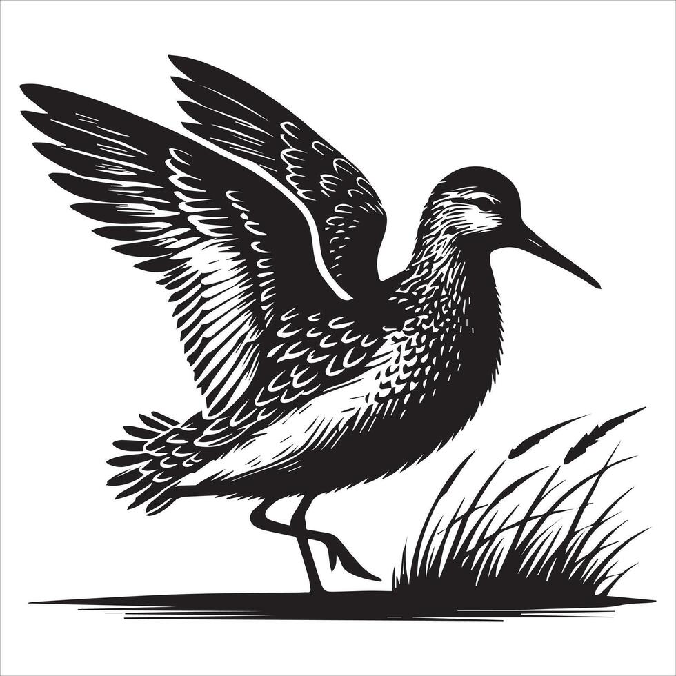 Dunlin Silhouette - Dunling Bird Clipart, Calidris alpina Design, Dunlin Stretching Wings Illustration in black and white vector