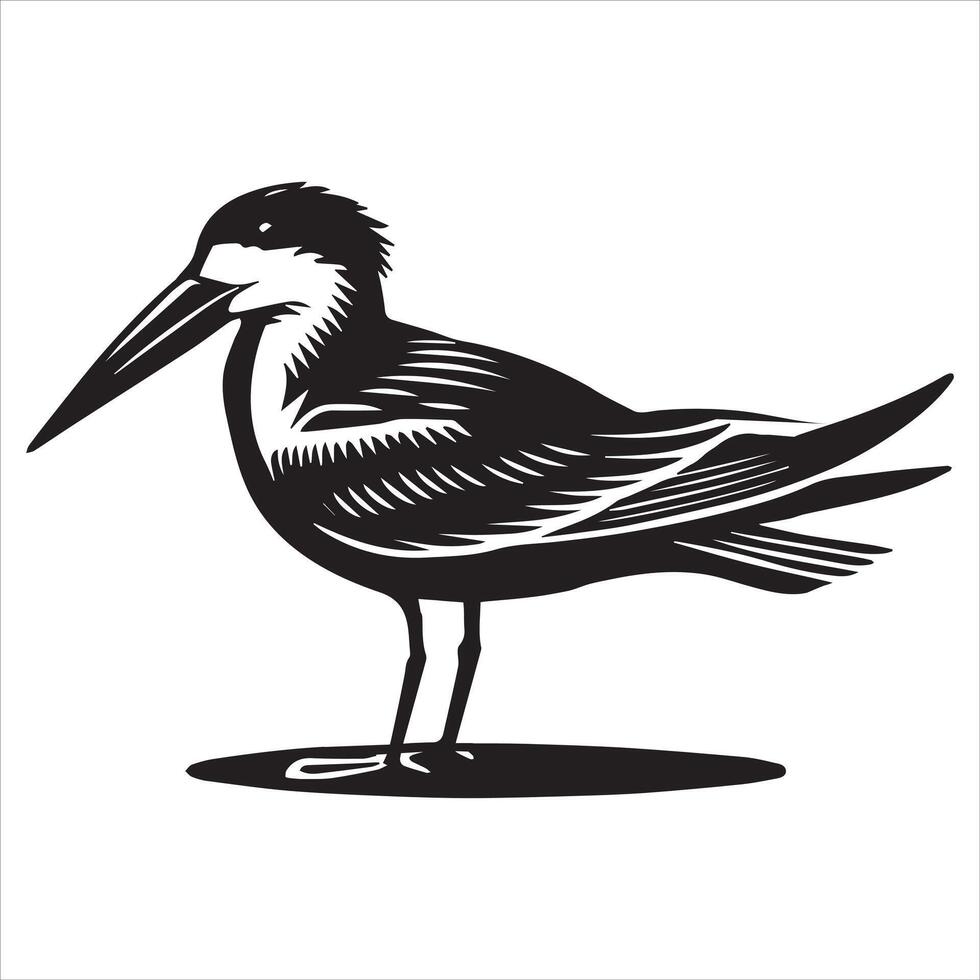 Black Skimmer Silhouette, Rynchops Niger Bird Clipart, Skimmer standing head turned left Illustration in black and white vector