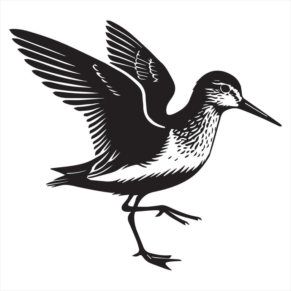 Common Sandpiper Silhouette - Sandpiper Birt Clipart, Common Sandpiper flapping Illustration in black and white vector