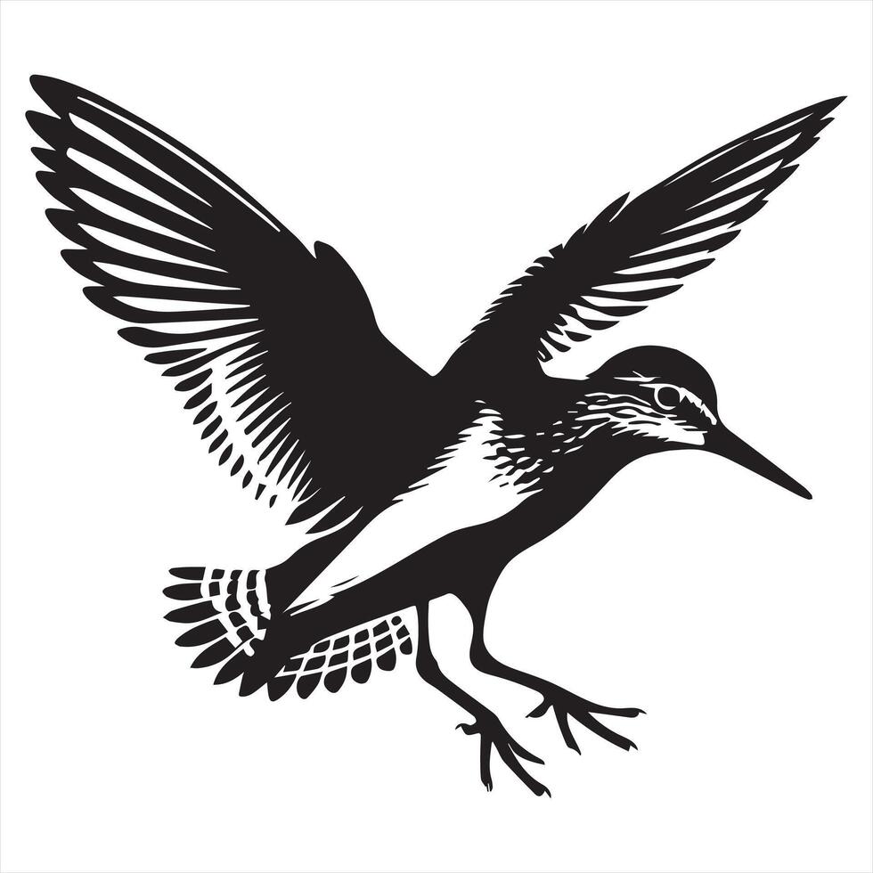 Common Sandpiper Silhouette - Sandpiper Birt Clipart, Common Sandpiper landing Illustration in black and white vector