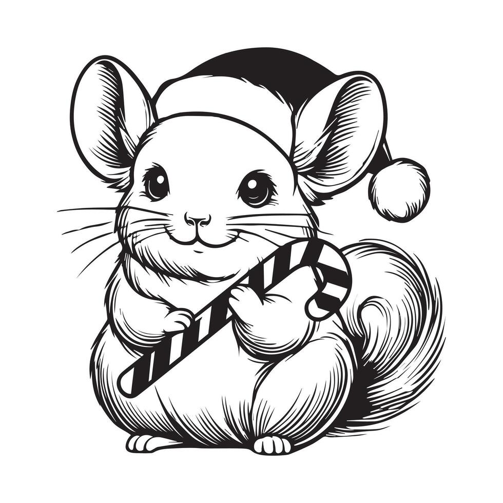 Cute Chinchilla Outline Design - A Chinchilla holding a candy cane illustrated in black and white vector