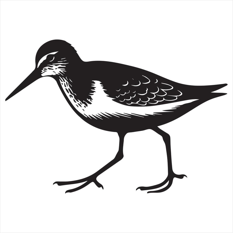 Common Sandpiper Silhouette - Sandpiper Birt Clipart, Common Sandpiper Looking down ground Illustration in black and white vector