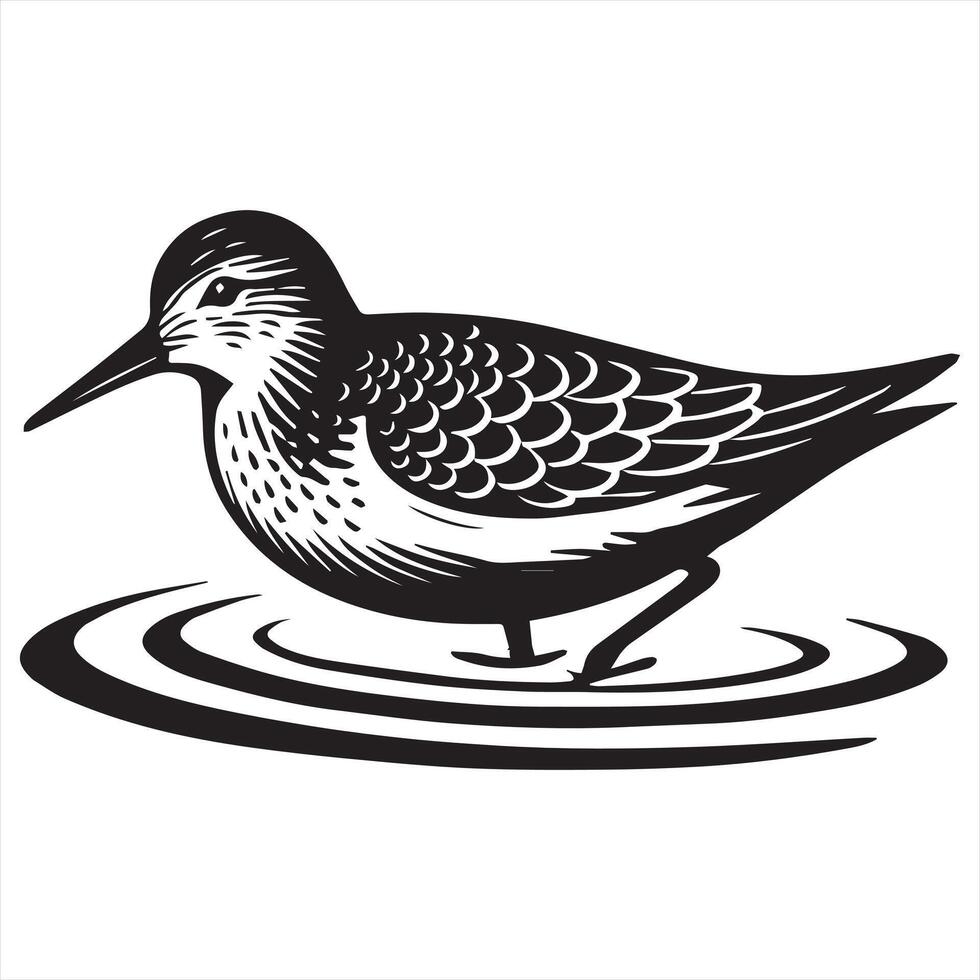 Common Sandpiper Silhouette - Sandpiper Birt Clipart, Common Sandpiper swimming Illustration in black and white vector