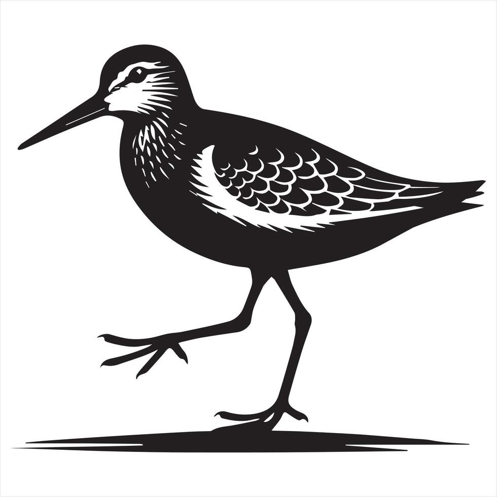 Common Sandpiper Silhouette - Sandpiper Birt Clipart, Common Sandpiper walking Illustration in black and white vector