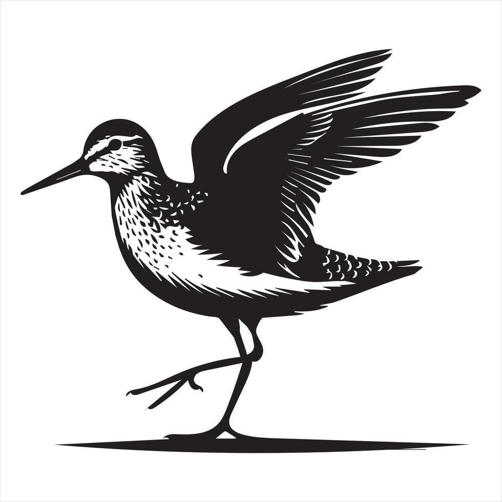 Common Sandpiper Silhouette - Sandpiper Birt Clipart, Common Sandpiper stretching one wing Illustration in black and white vector