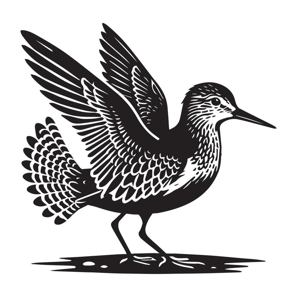 Common Sandpiper Silhouette - Sandpiper Birt Clipart, Common Sandpiper spreading tail feathers Illustration in black and white vector