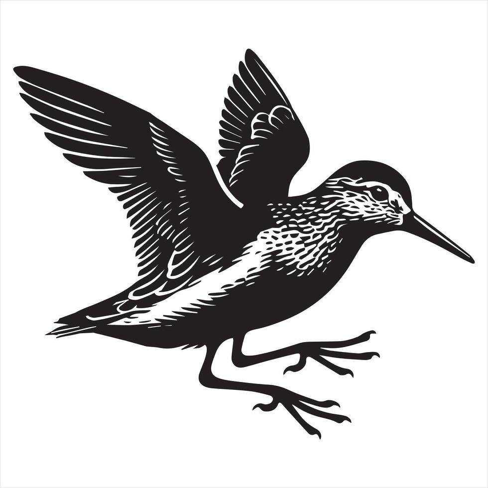 Common Sandpiper Silhouette - Sandpiper Birt Clipart, Common Sandpiper hopping Illustration in black and white vector