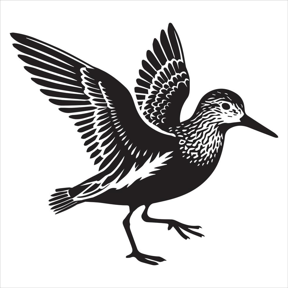 Western Sandpiper Silhouette, Calidris mauri Clipart, Western Sandpiper flapping Illustration in black and white vector