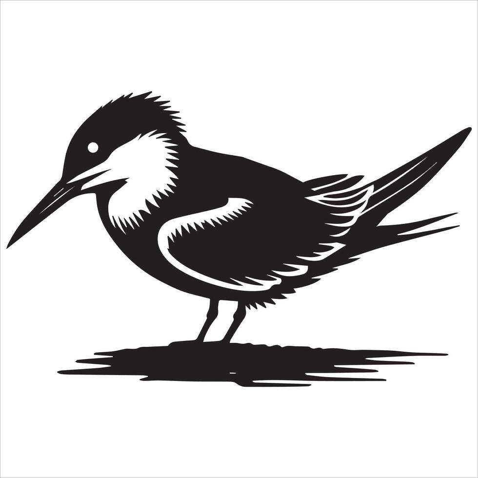 Royal Tern Silhouette, Thalasseus maximus Clipart, Royal Tern squatting low Illustration in black and white vector