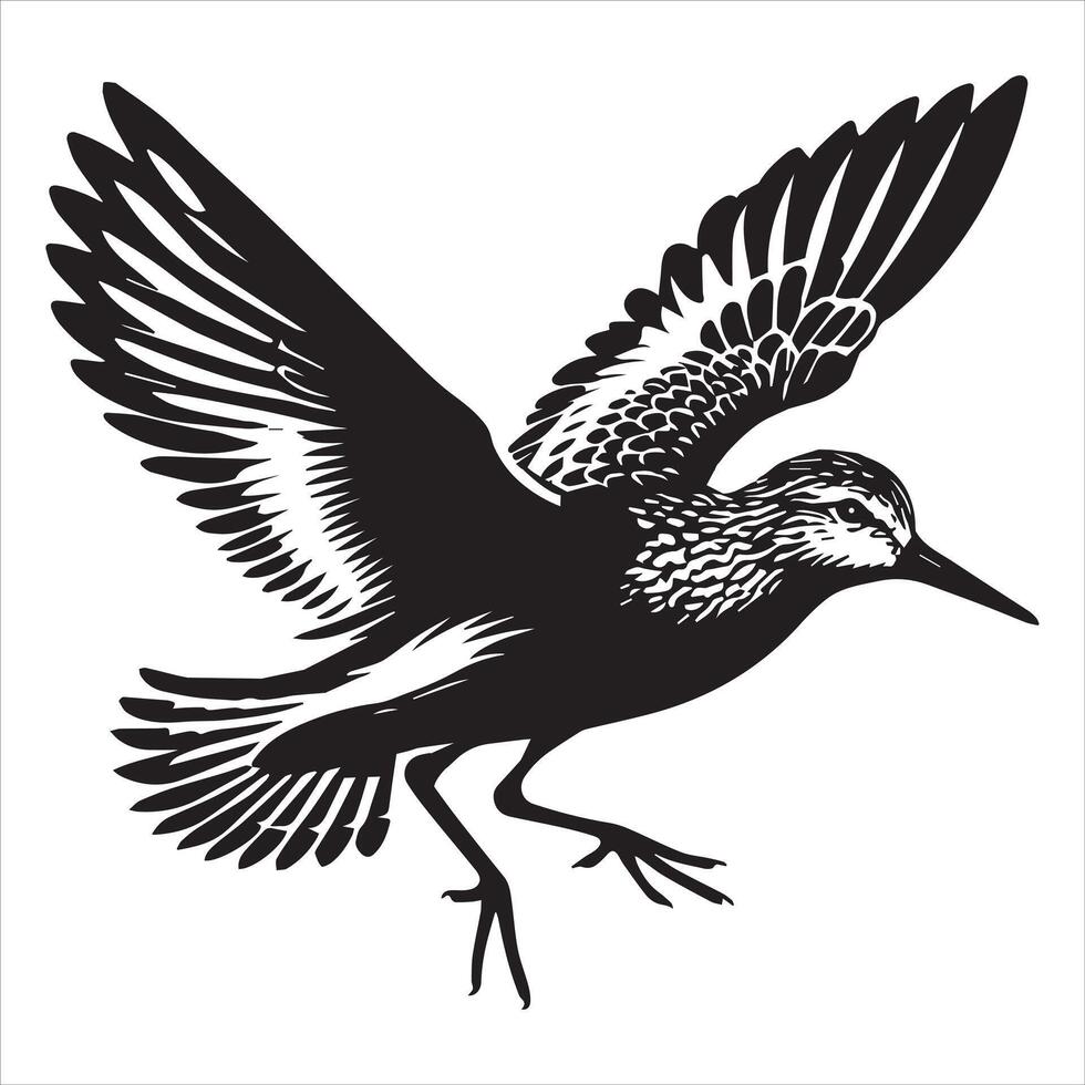 Western Sandpiper Silhouette, Calidris mauri Clipart, Western Sandpiper in flight Illustration in black and white vector