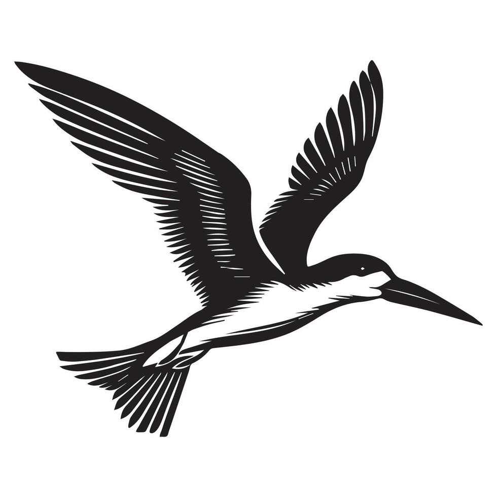 Black skimmer Silhouette, Rynchops Niger Bird Clipart, Black Skimmer gliding wings open Illustration in black and white vector