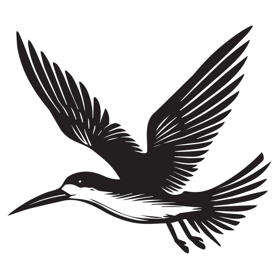 Black Skimmer Silhouette, Rynchops Niger Bird Clipart, Black Skimmer taking off wings up Illustration in black and white vector
