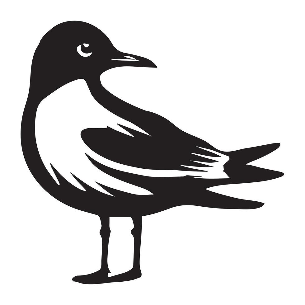 Black-headed Gull Silhouette, Chroicocephalus ridibundus Clipart, Head turned to the right Illustration in black and white vector
