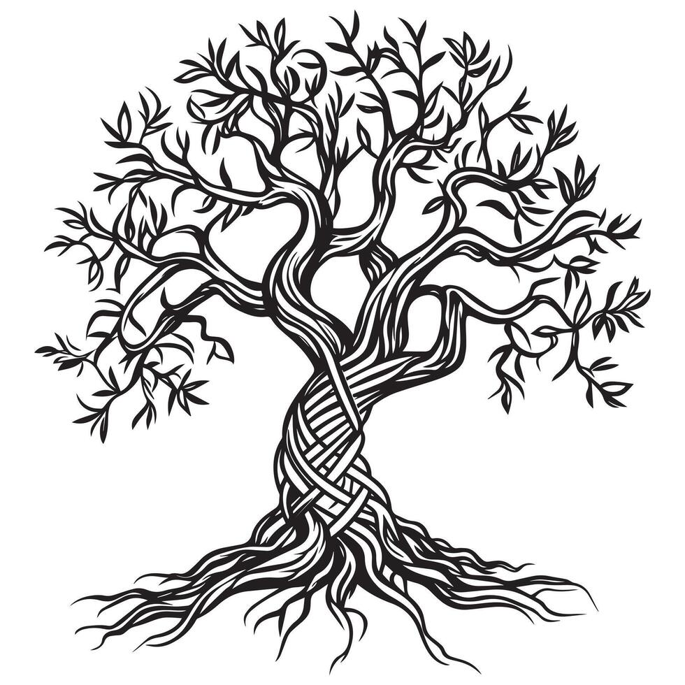 Celtic Tree of Life Clipart, Celtic Tree Silhouette - A Celtic Yew tree illustration in black and white vector