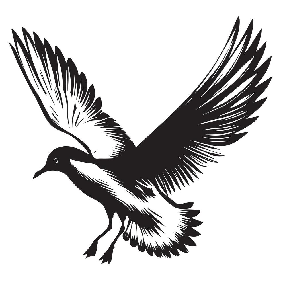 Black-headed Gull Silhouette, Chroicocephalus ridibundus Clipart, Black-headed gull wings fully spread Illustration in black and white vector