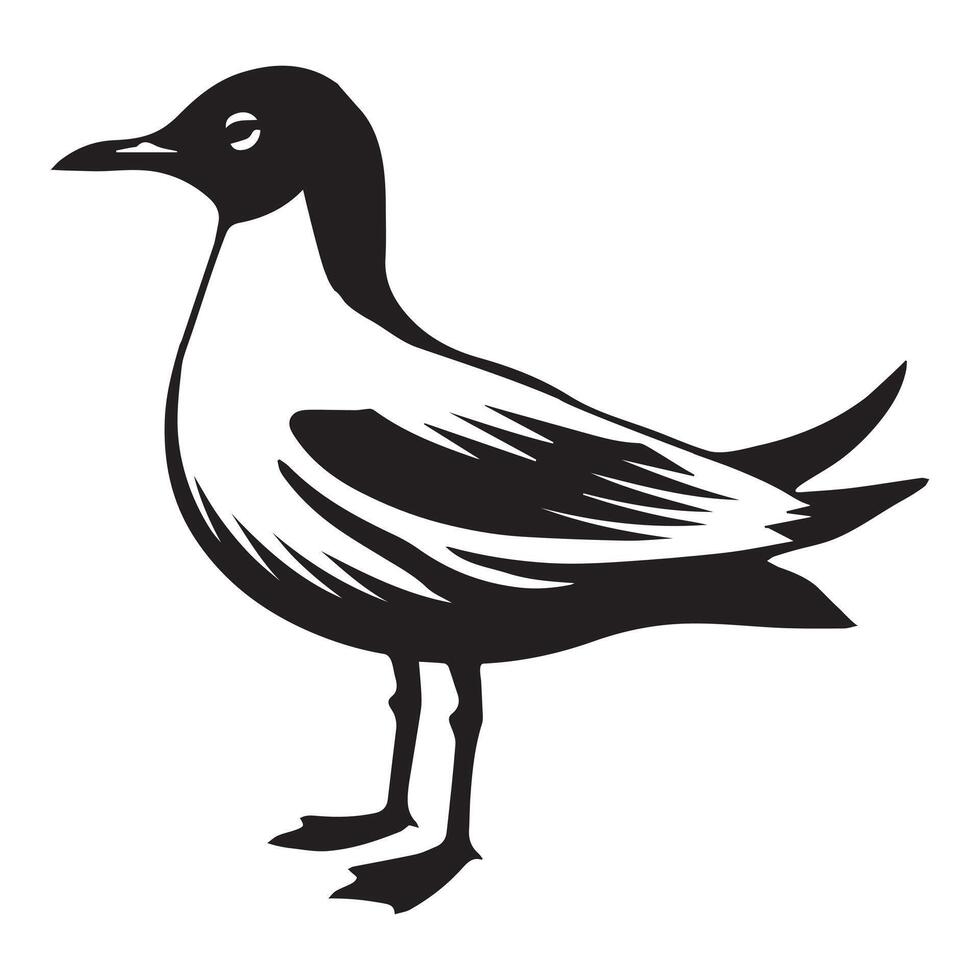 Black-headed Gull Silhouette, Chroicocephalus ridibundus Clipart, Black-headed gull head turned Illustration in black and white vector