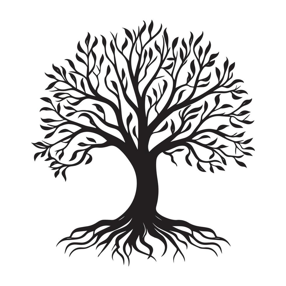 Celtic Tree of Life Clipart, Celtic Tree Silhouette - A Poplar Celtic tree illustration in black and white vector