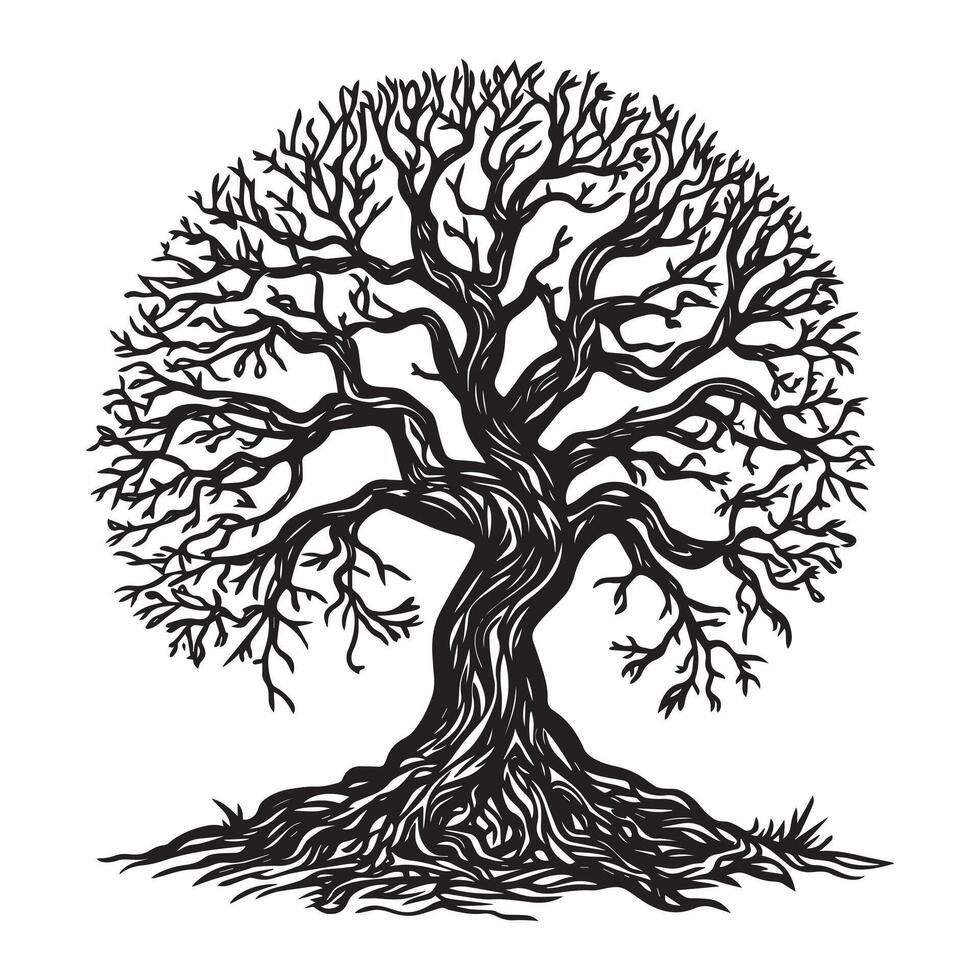 Celtic Tree of Life Clipart, Celtic Tree Silhouette - A Hazel Celtic tree illustration in black and white vector