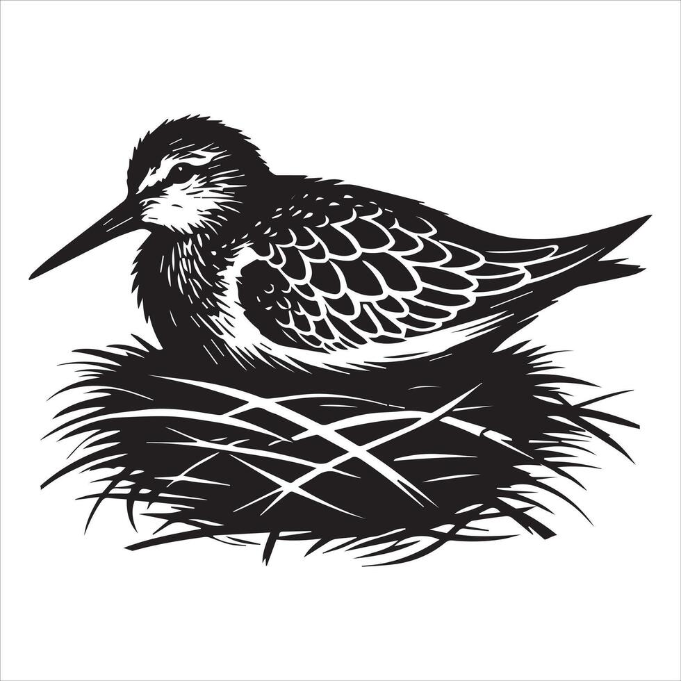 Western Sandpiper Silhouette, Calidris mauri Clipart, Western Sandpiper nesting Illustration in black and white vector