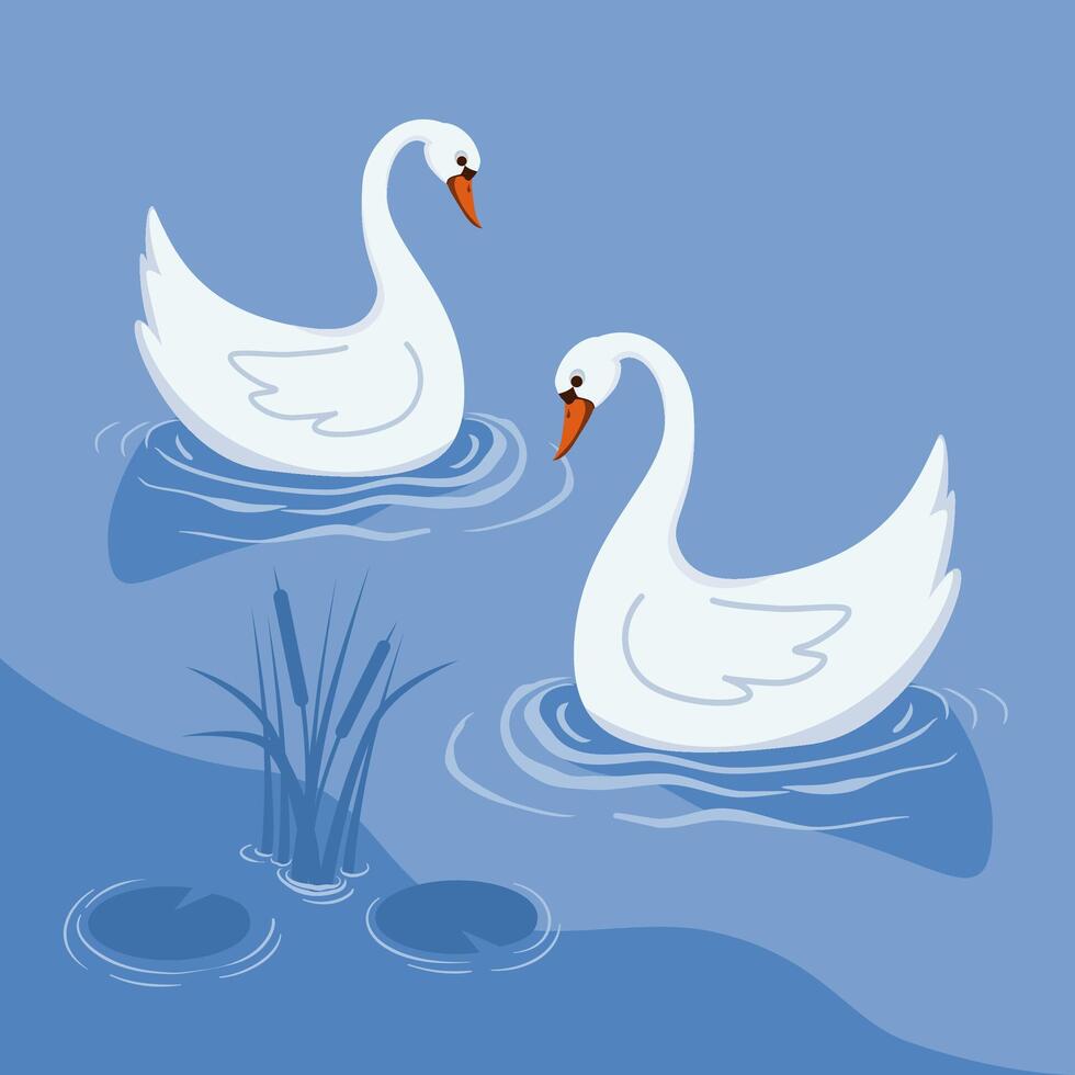 Two white swans on blue lake. Flat illustration. vector