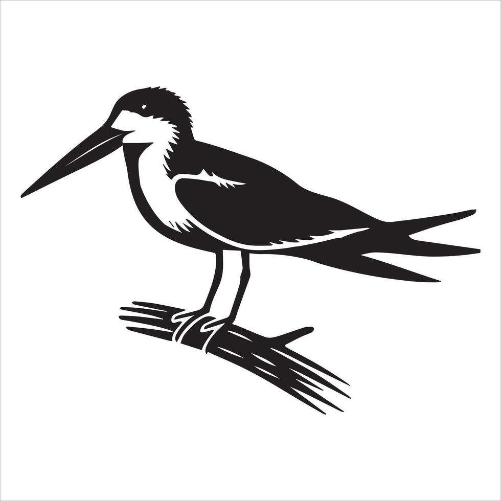 Black Skimmer Silhouette, Rynchops Niger Bird Clipart, Black Skimmer perched on branch Illustration in black and white vector