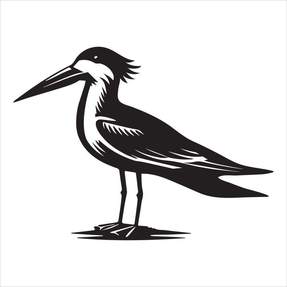 Black Skimmer Silhouette, Rynchops Niger Bird Clipart, Black Skimmer standing and facing left Illustration in black and white vector
