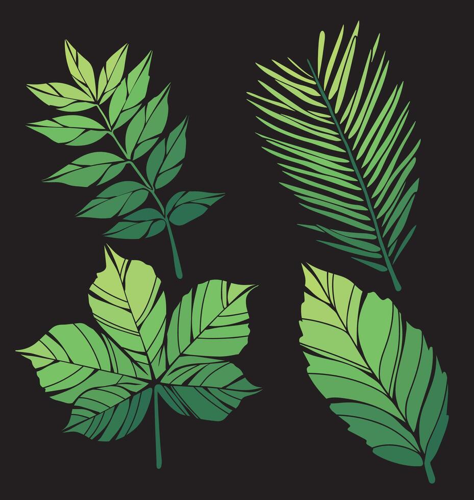 Elegant and Artistic Tropical Leaf Illustrations Beautiful Outlined and Silhouette Designs for Wedding Invitations vector