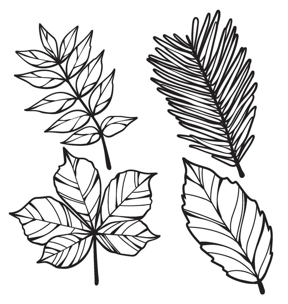 Elegant and Artistic Tropical Leaf Illustrations, Beautiful Outlined and Silhouette Designs for Wedding Invitations vector