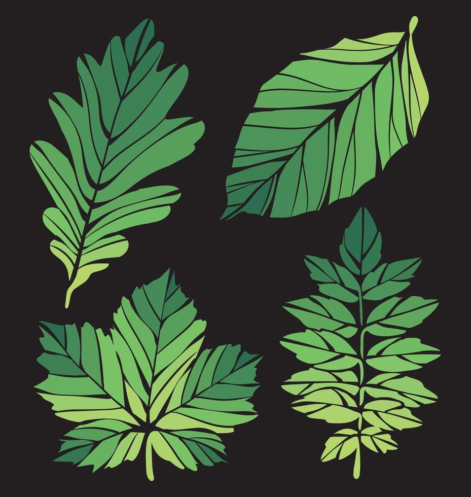 Elegant Tropical Leaf Illustrations, Beautiful Outlined and Silhouette Designs for Wedding Invitations vector