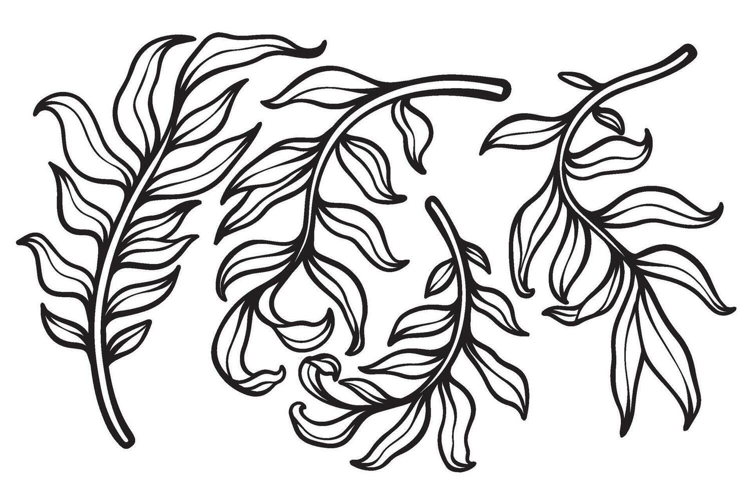 Beautiful Leaf Art for Elegant Wedding Invitations and Decorations vector