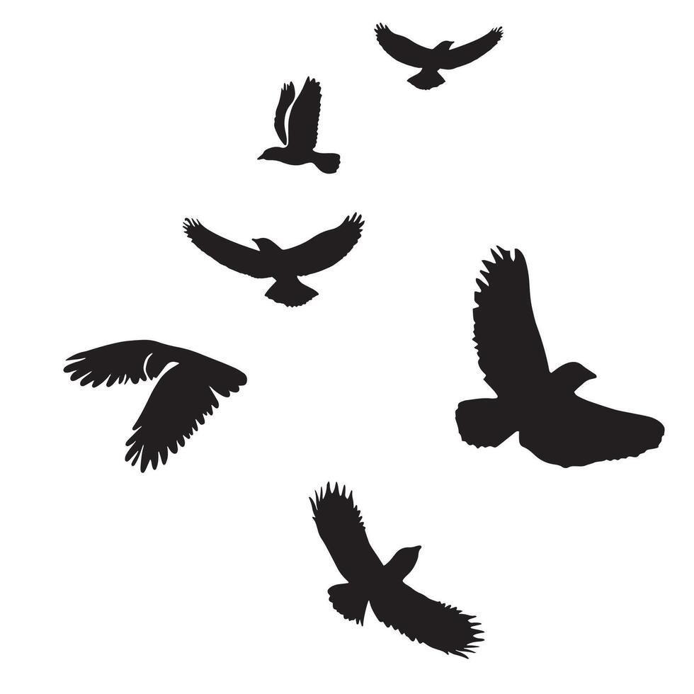 Flock of Birds Silhouettes in Flight Isolated on White Background vector
