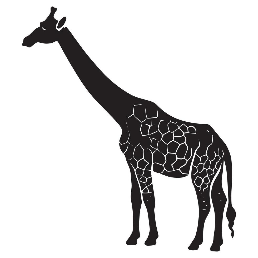 Giraffe Silhouette with Pattern Isolated on White Background vector