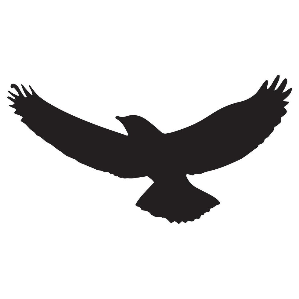 Flying Bird Silhouette Isolated on White Background vector